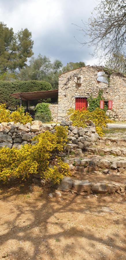 B&B L'Albatros 파이앙스 외부 사진